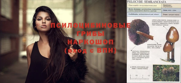 прущая мука Алексин